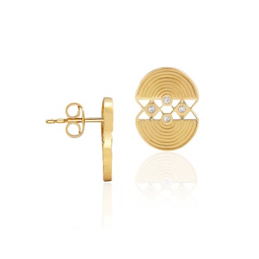 14 Ayar Sarı Altın Tasarım Taşlı Pimli Küpe